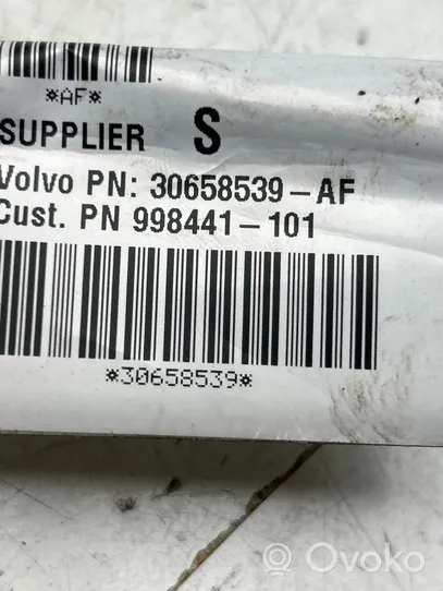 Volvo C30 Cablaggio porta anteriore 30658539