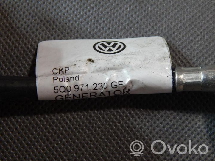 Volkswagen PASSAT B8 Cablaggi (generatore/alternatore) 5Q0971230GF