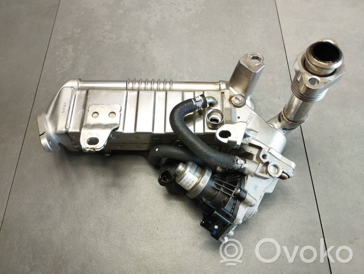 BMW X1 F48 F49 EGR vožtuvas 8515891