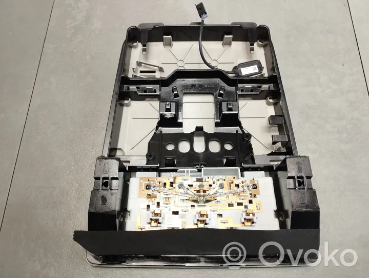 Opel Insignia A Rivestimento della console di illuminazione installata sul rivestimento del tetto 13429566