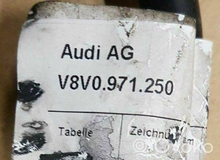 Audi RS3 Câble de batterie positif 8V0971250