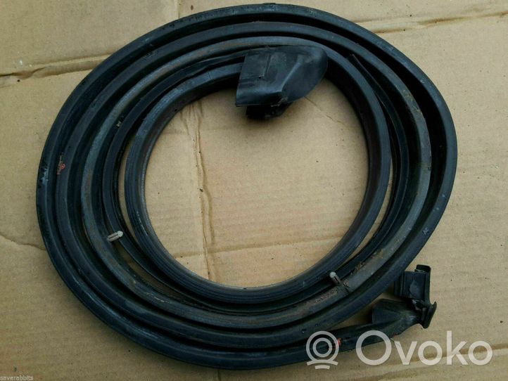 Volkswagen Golf I Rubber seal front coupe door 155837911E