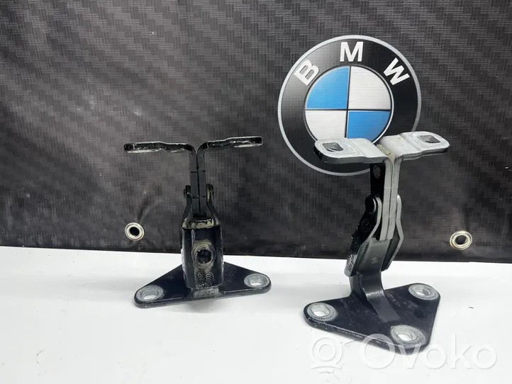 BMW X5 F15 Vyris (-iai) galinio dangčio 7352697