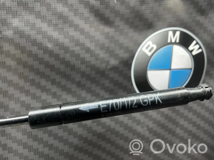 BMW X5 F15 Ammortizzatore portellone anteriore/cofano 9149120