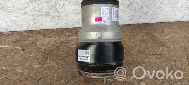 Mercedes-Benz S C217 Ammortizzatore/sospensione pneumatica A2173202400