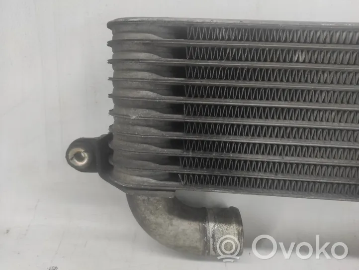 Hyundai Matrix Chłodnica powietrza doładowującego / Intercooler 