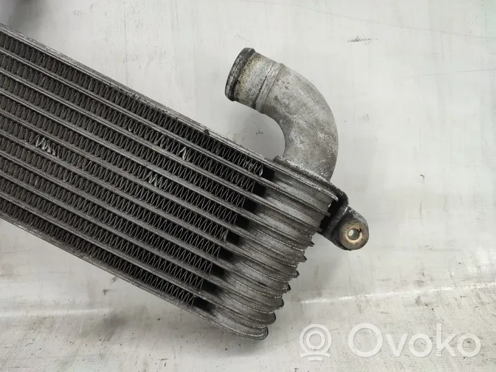 Hyundai Matrix Chłodnica powietrza doładowującego / Intercooler 