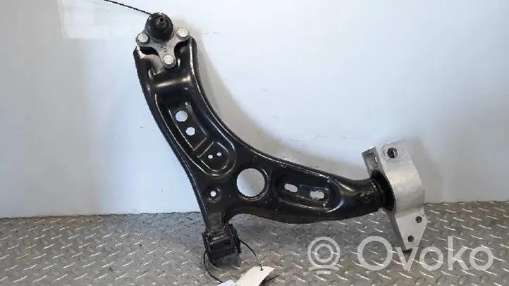 Volkswagen Tiguan Front control arm 