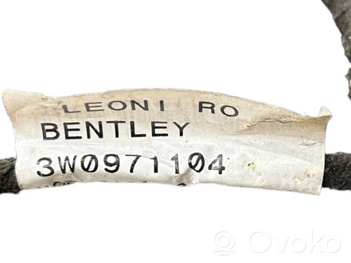 Bentley Continental Puskuri 3W0971104