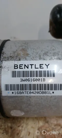 Bentley Continental Air suspension rear shock absorber 3W0616001B