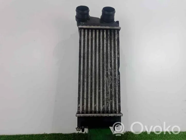 Fiat Scudo Radiatore intercooler 