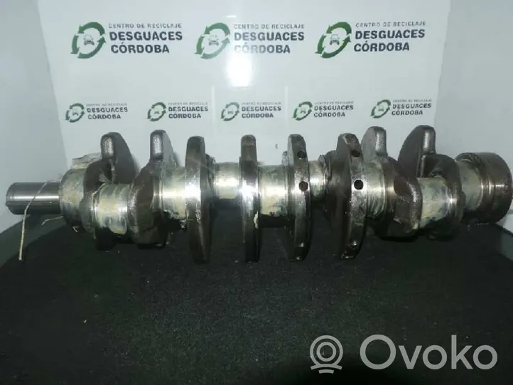 KIA Carnival Crankshaft 