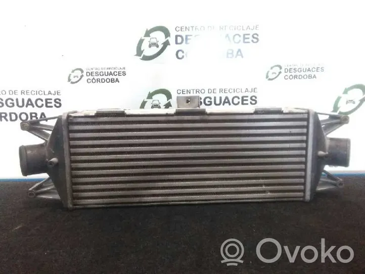 Iveco Daily 45 - 49.10 Chłodnica powietrza doładowującego / Intercooler RA8140060