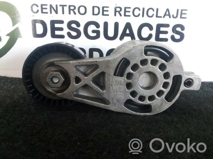 Volkswagen Golf SportWagen Napinacz paska alternatora 03G903315