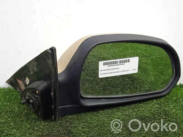 Hyundai Elantra Specchietto retrovisore elettrico portiera anteriore 