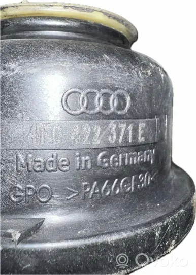 Audi A6 S6 C6 4F Power steering fluid tank/reservoir 