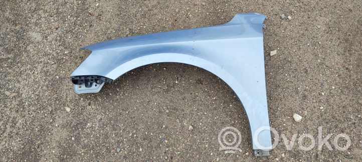 Volkswagen PASSAT B7 Fender 