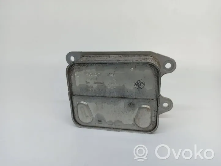 Volkswagen Golf VII Engine oil radiator 04E117021K