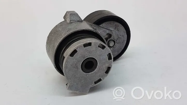 Renault Megane III Generator/alternator belt tensioner 