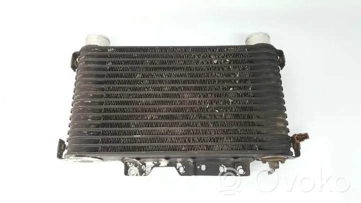 Mitsubishi Montero Chłodnica powietrza doładowującego / Intercooler 1271000421