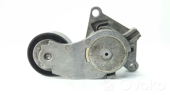 Citroen C3 Generator/alternator belt tensioner TF129B