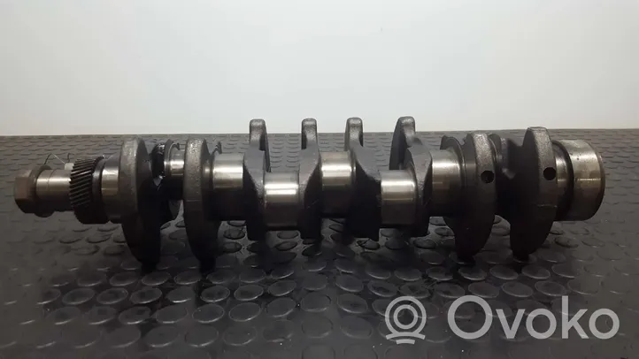 Nissan Terrano Crankshaft 1220043G02