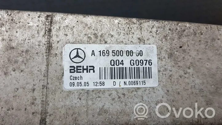 Mercedes-Benz B W245 Refroidisseur intermédiaire Q04G0976