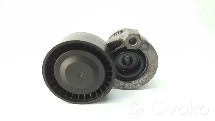 Renault Clio IV Napinacz paska alternatora 656308