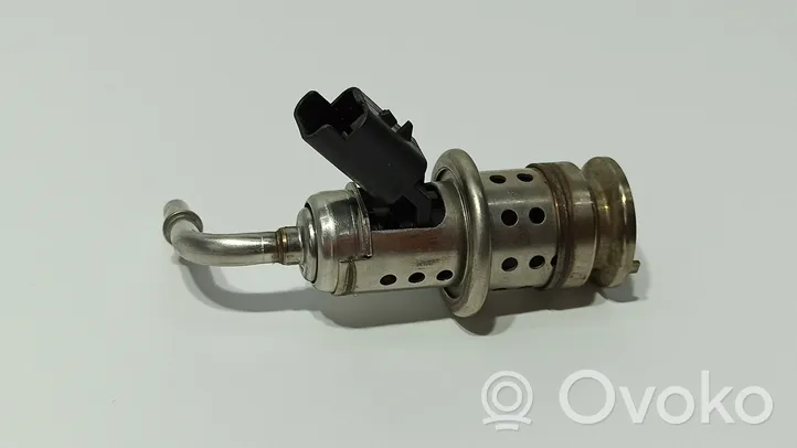 Citroen C4 II Picasso Injecteur de carburant 