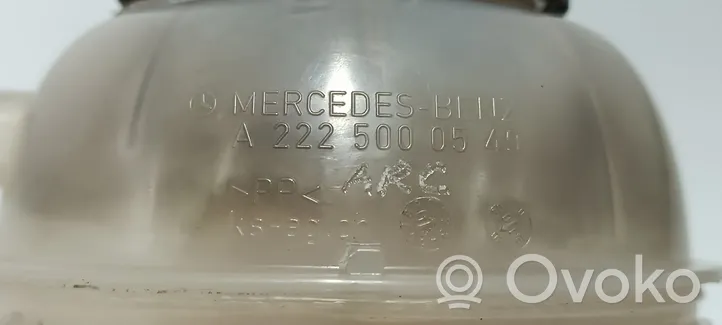 Mercedes-Benz S W222 Serbatoio di compensazione del liquido refrigerante/vaschetta A2225000549