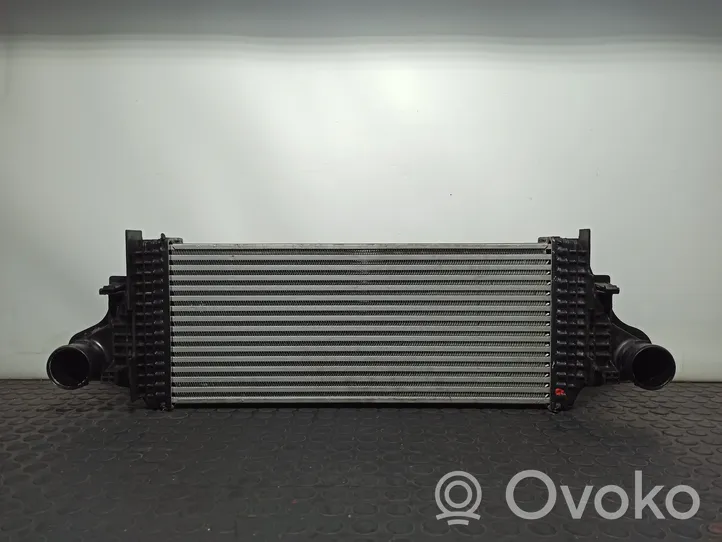 Mercedes-Benz R W251 Chłodnica powietrza doładowującego / Intercooler A2515000000