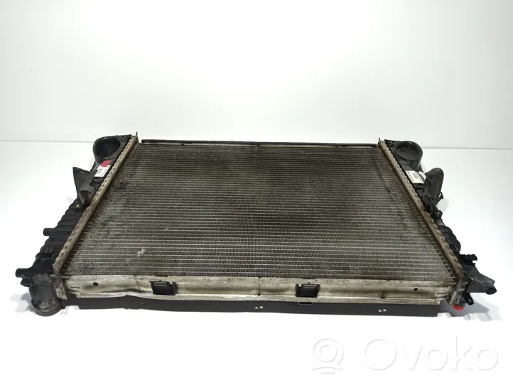 Mercedes-Benz S W220 Coolant radiator A2205050188