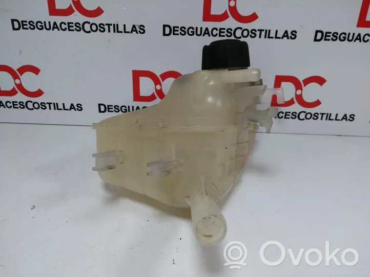 Renault Megane III Coolant expansion tank/reservoir 217100005R