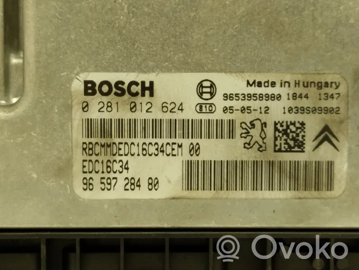 Citroen C5 Sterownik / Moduł ECU 0281012624