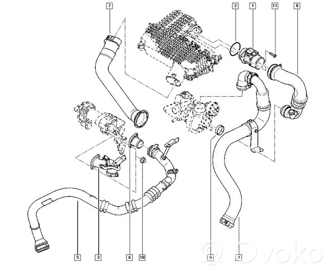 Renault Clio II Turboahtimen öljyletku 8200599534