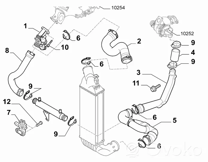 Fiat Ulysse Turboahtimen öljyletku 1488855080