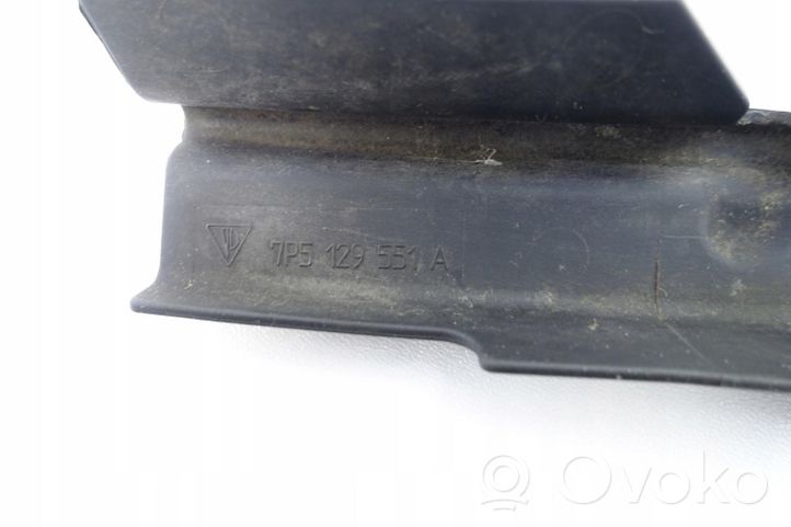 Porsche Cayenne (9PA) Modanatura separatore del paraurti anteriore 7P5129551A