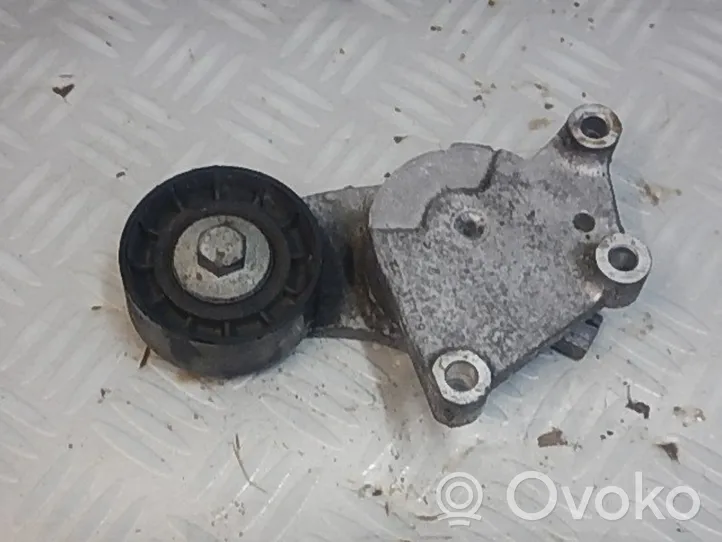 Volvo V60 Napinacz paska alternatora 30852898