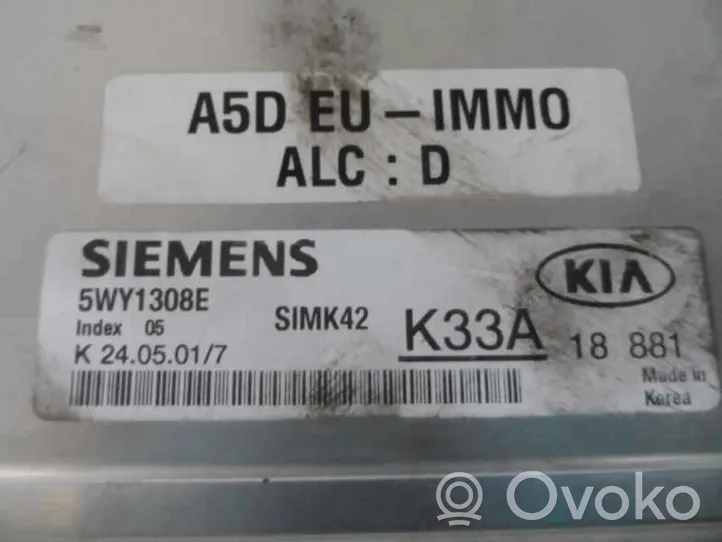 KIA Rio Sterownik / Moduł ECU 5WY1308E