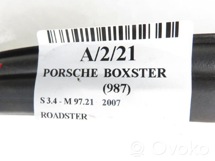 Porsche Boxster 987 Altre centraline/moduli 