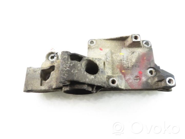 Volkswagen Polo IV 9N3 Supporto del generatore/alternatore 