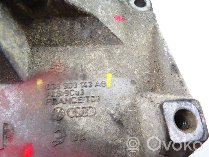 Volkswagen Polo IV 9N3 Supporto del generatore/alternatore 