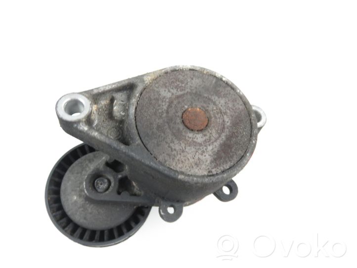 BMW 5 E39 Timing belt/chain tensioner 