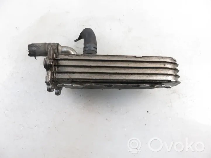 Volkswagen Golf IV EGR valve cooler 