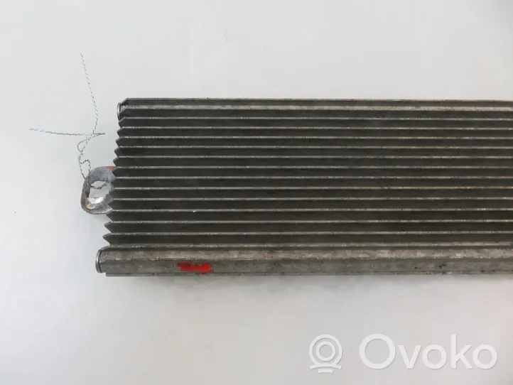 Volkswagen PASSAT B6 Radiatore del carburatore (radiatore) 