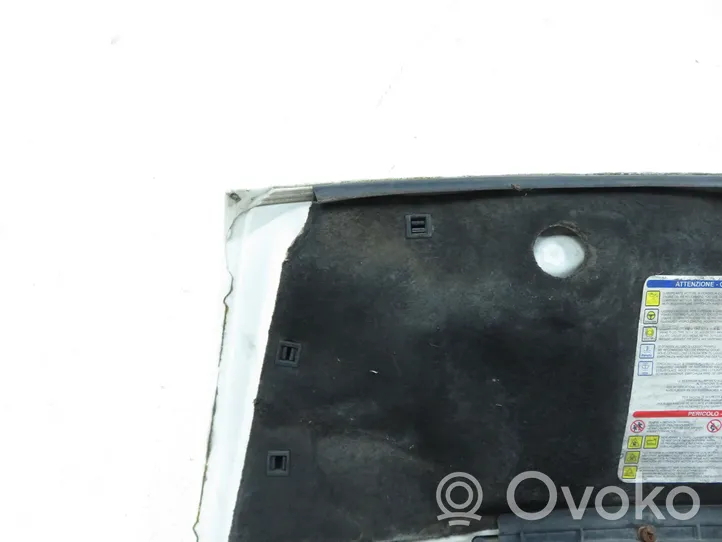 Fiat Ducato Engine bonnet/hood 