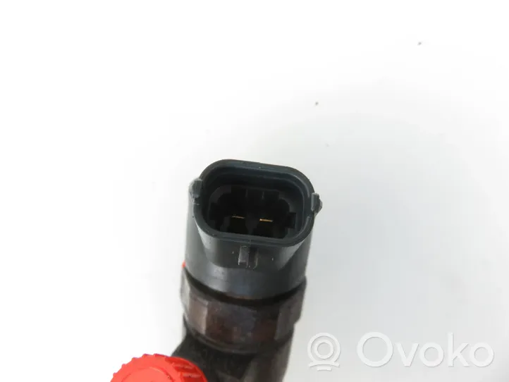 Peugeot 206 Fuel injector 0445110076