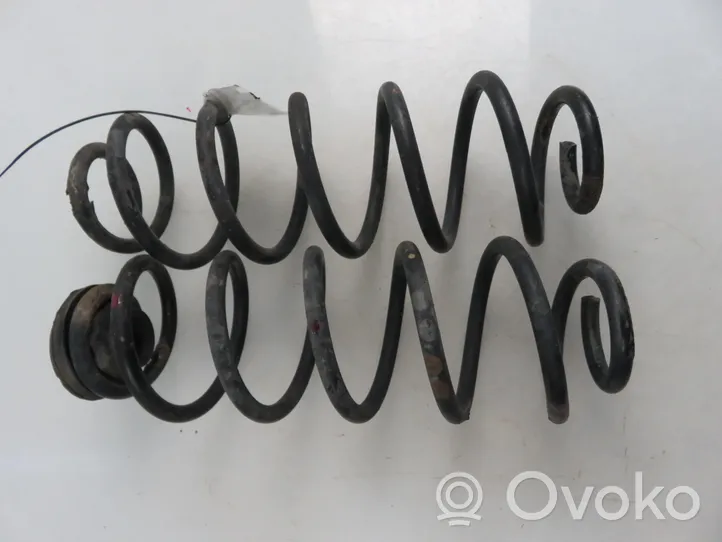 Seat Leon (1M) Rear coil spring 