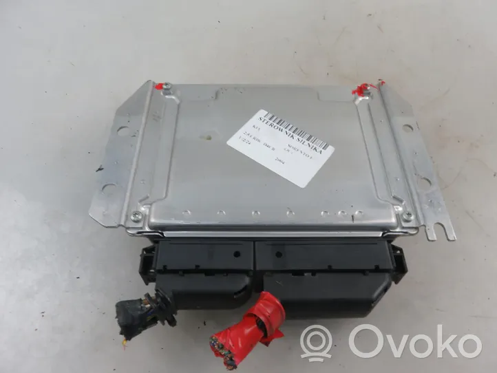 KIA Sorento Sterownik / Moduł ECU 391004A810