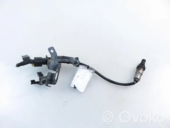 Fiat Ducato Sensore della sonda Lambda 55233616